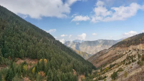 Zigana Dağı ve Kayak Merkezi