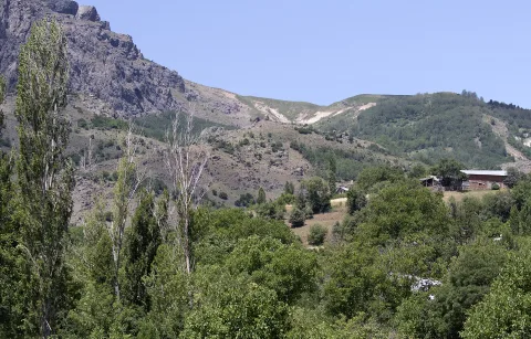 Tamzara Mahallesi