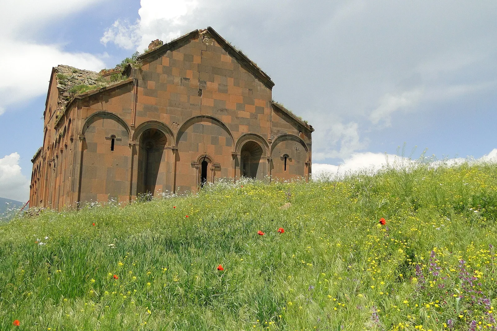 Ani Harabeleri'ndeki Büyük Katedral, önünde kır çiçekleriyle