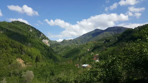 Şahin Kayası (Doğal Türkiye Haritası)