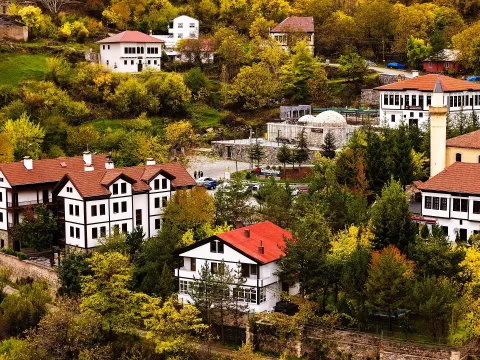 Süleymaniye Camii ve Eski Gümüşhane