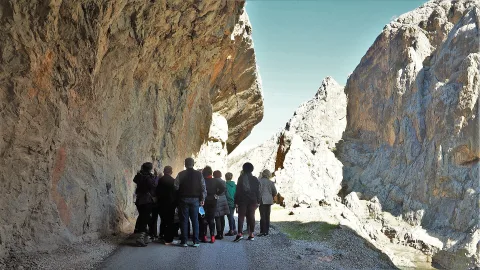 Taş Yol