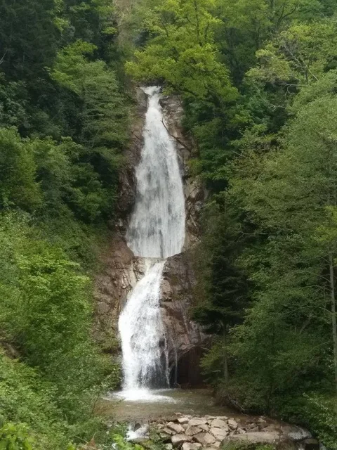 Manle Şelaleleri