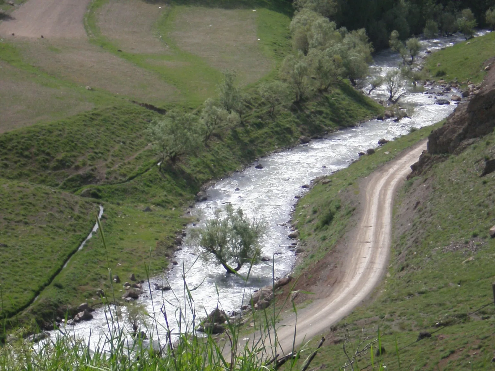 Berçelan Deresi ve yeşil yamaçlar