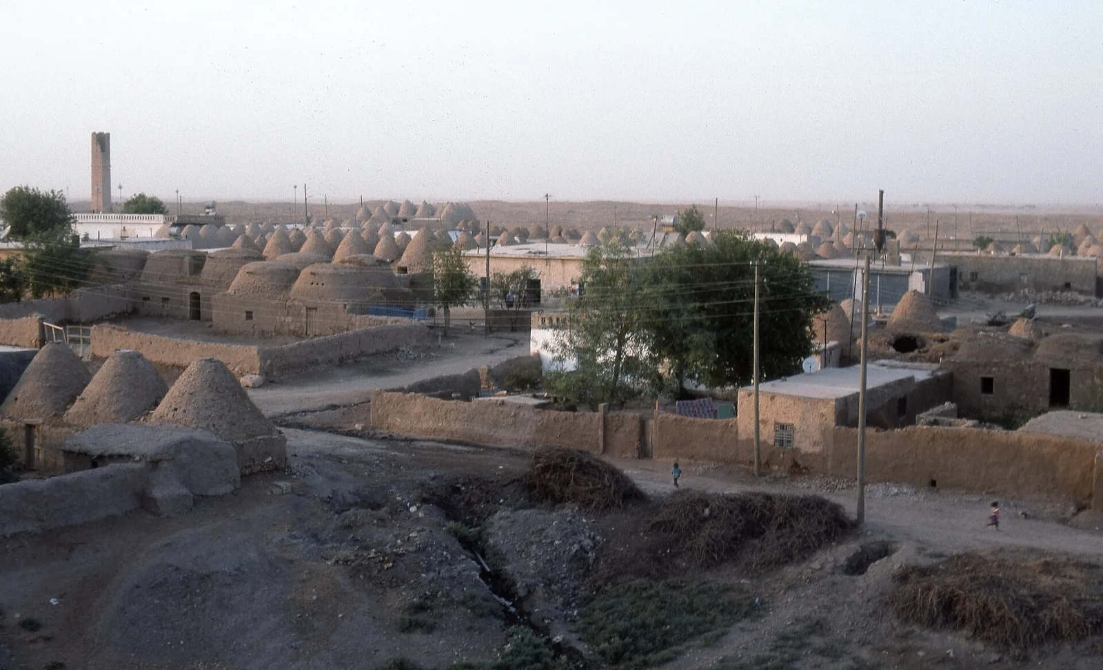 Harran, Han el-Ba'rur, Şuayb ve Soğmatar araç rotası