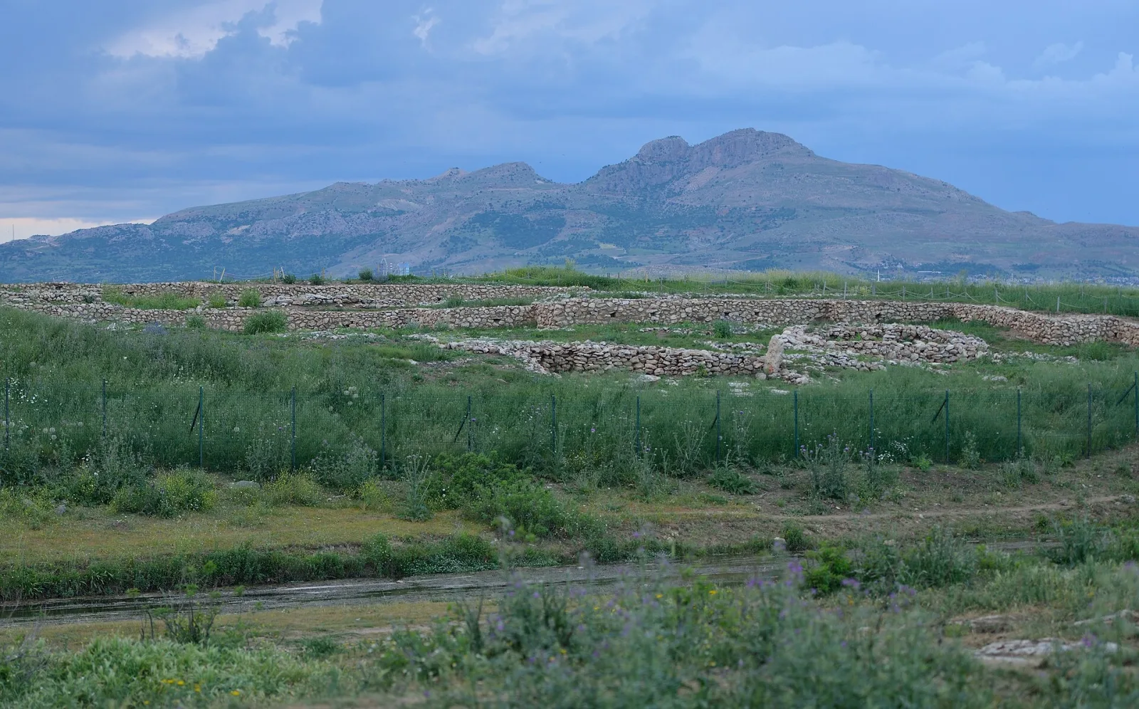 Çayönü Höyüğü