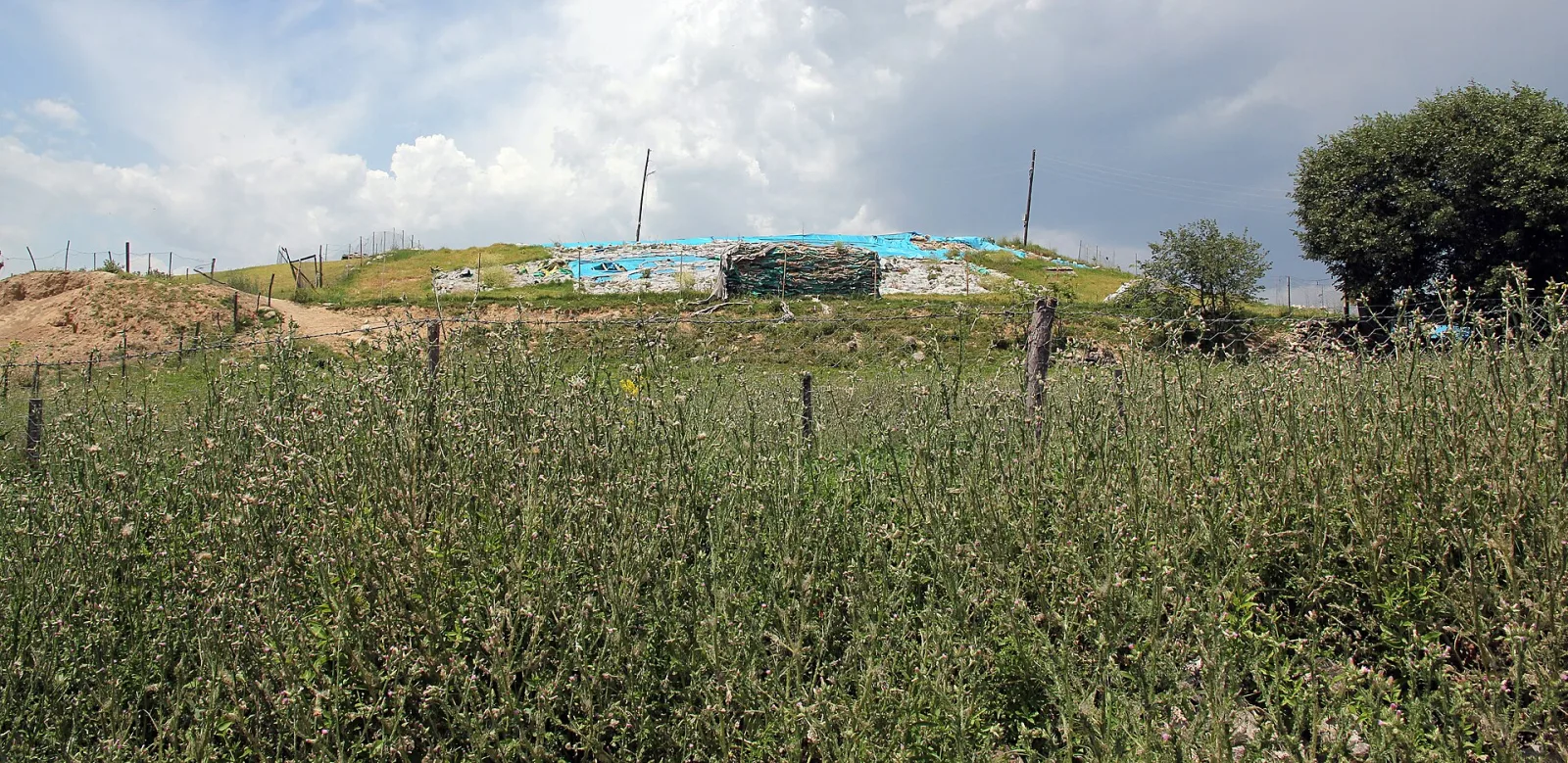 Oymaağaç Höyüğü'nün genel görünümü