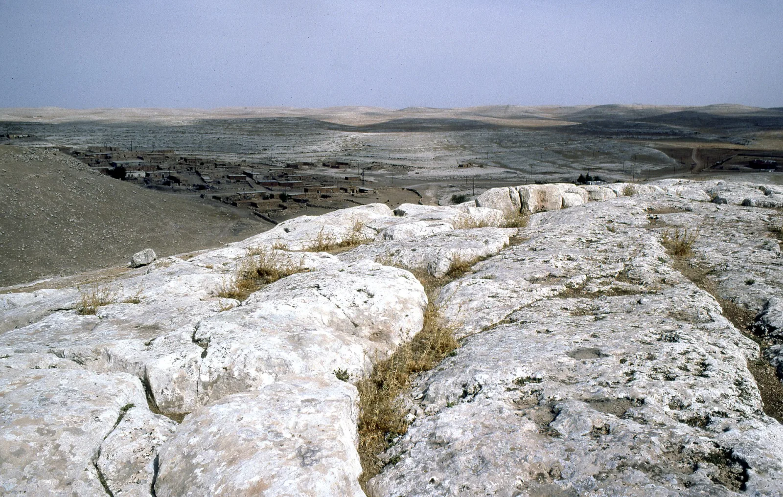 Soğmatar