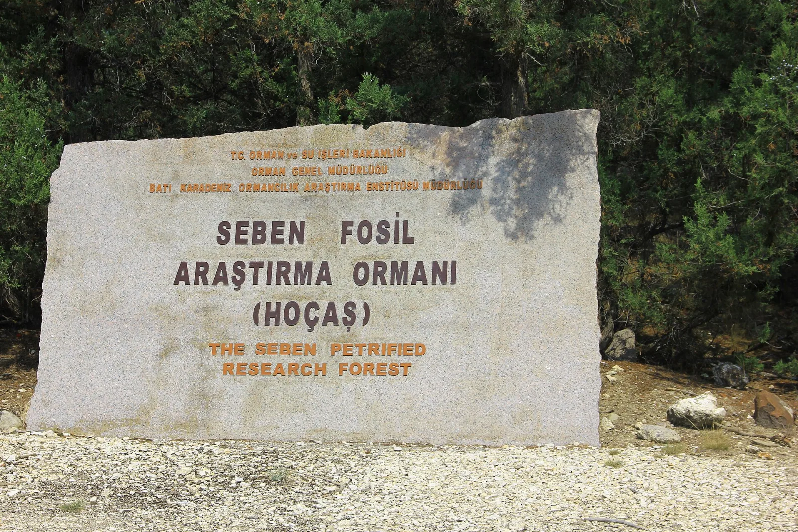 Hoçaş Fosil Ormanı girişindeki taş tabela